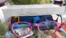 13554-1652.00 Vera Bradley Reading Glasses With Case Lisa African Violet 2.00 Nwot 886003253151