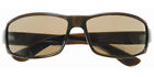 R422bs 2.50 Sun Readers Bifocal