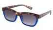 23924 Reading Glasses
