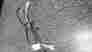 6366k Koali Black Silver Reading Glasses