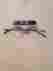7020 Select A Vision Glasses New Milano Collection 1.75
