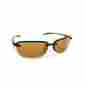 7305ba-200 Flying Fisherman Cali Polarized Sunglasses Black Frames With Amber Reader Plus 2.00 Lenses