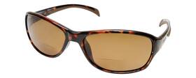 Bp-14 Coyote Eyewear 795780746865 Polarized Bifocal Reading Sunglasses 2.75 Tortoise Ambe