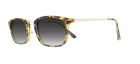 Ebe-bf-sun-ckbtr9032-tortoise Eyebuyexpress Mens Womens Reading Glasses Ebe Bifocal Sunglasses Tortoise Spring