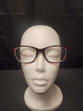 Ev1 803926481317 Reading Glasses 1.25 Premium Lenses With Case Sawyer Tortoise Frame