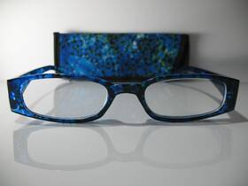 Foster Grant 024021801538 Brynna Women S Reading Glasses With Case Blue And Black Frame 2.75