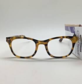 D217 Foster Grant 193033735022 Coloread 2.00 Fglr 25 784 Tor Readers Reading Glases Tortoise