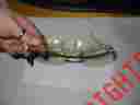Gl810 Jimmy Crystal Sunglasses Uv 400 Rhinestones Italy Plastic