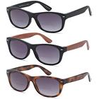 Rs3c1001r300 Gr Gamma Sunglasses Ray Pairs Bifocal Gradient Readers 849344031512