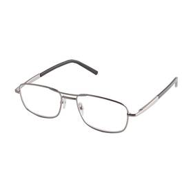 10172101d Icu Eyewear Dde Mens Reader Glasses Silver 1.25