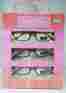 Mmr108ap6w Marilyn Monroe Nib 3 Pk Reading Glasses Colorful Eyeglass Design 2.00 800414428892