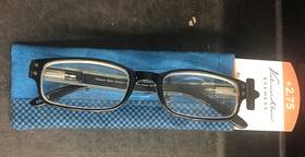 9076-275 Sav Eyewear Readers Victoria Klein 9076 Reading Glasses 2.75 With Soft Case