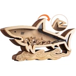 Shark Tooth Display Case 8.7 Inch,wooden Holder,wood .... Fixed Price $13.63.