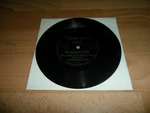 Peter Gabriel - Solsbury Hill New York 1978 (rare Flexi Disc 7" Single). Fixed Price $12.02.