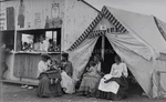 1910S Fortune Teller & Moxie Signs Carnival Glass Negative Photo. Fixed Price $600.00.