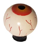 Eye Ball Shift Knob Universal For Manual Car. Fixed Price $19.99.