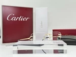Cartier Rimless Decor Gold Ref. CT0563O 100% Genuine Frames. Fixed Price $1299.00.