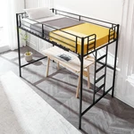 Twin Size Loft Bed With Removable Ladder High Guardrail Metal Frame For Teens. Fixed Price $109.99.