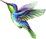 Beautiful Vibrant Colored Hummingbird Art #7 Truck Car Bumper Sticker Vinyl D.... Fixed Price $13.11.