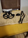 Wiley Harley-davidson Z87-2 Men's Smoked Goggles, Extra Lens, Toggle Lanyards. Fixed Price $60.00.