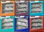 Foster Grant 3 Pack And 1 Case Half Rim Metal Readers. **d** You Pick. Fixed Price $10.99.