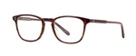 Garrett Leight Boon Brandy Tortoise (brt) Eyeglasses. Fixed Price $299.00.