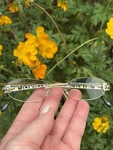 Brighton Handmade Reading Glasses Gold Silver Tone Rimless Ashbury Drill Readers. Fixed Price $38.50.