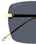 Cartier Pasha Square-frame CT0403S Sunglasses Retail $1850 !!!. Fixed Price $945.00.