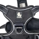 True Love Reflective Harness Padded Size Medium Anti-pull Black/gray. Fixed Price $8.99.