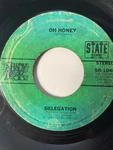 Delegation Oh Honey / Let Me Take You To The Sun 45 - Shady Brook Record. Fixed Price $19.90.
