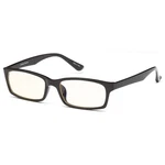 Gamma Ray 001 Professional Computer Reading Glasses. Fixed Price $22.99.