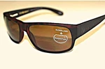 Foster Grant Men's Senator Tortoise Square Bifocal Sunreader. Fixed Price $19.99.